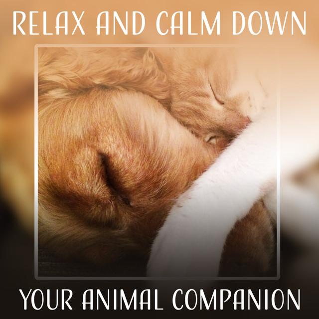 Calming Music for Your Pet - Anxiety Relief